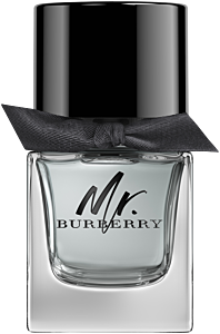 Burberry Mr. Burberry EdT Nat. Spray