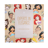 Accentra Adventskalender Disney Princess