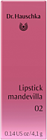 DR. HAUSCHKA Lipstick